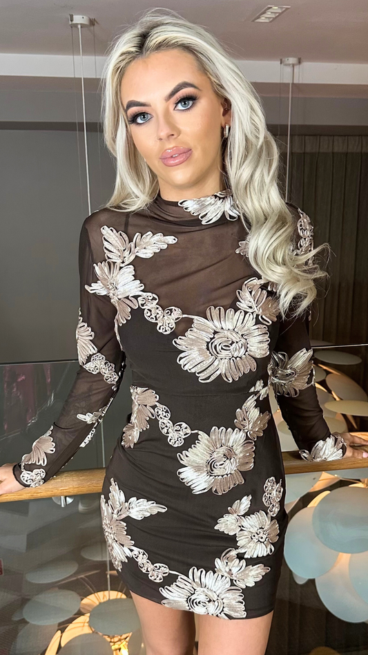 Aisha - Applique Long Sleeve Mini Dress Brown
