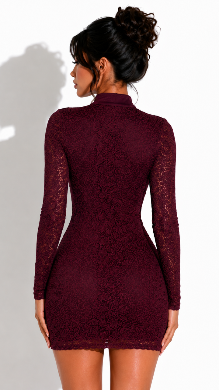 Elaina - Wine Lace Longsleeve Corset Dress
